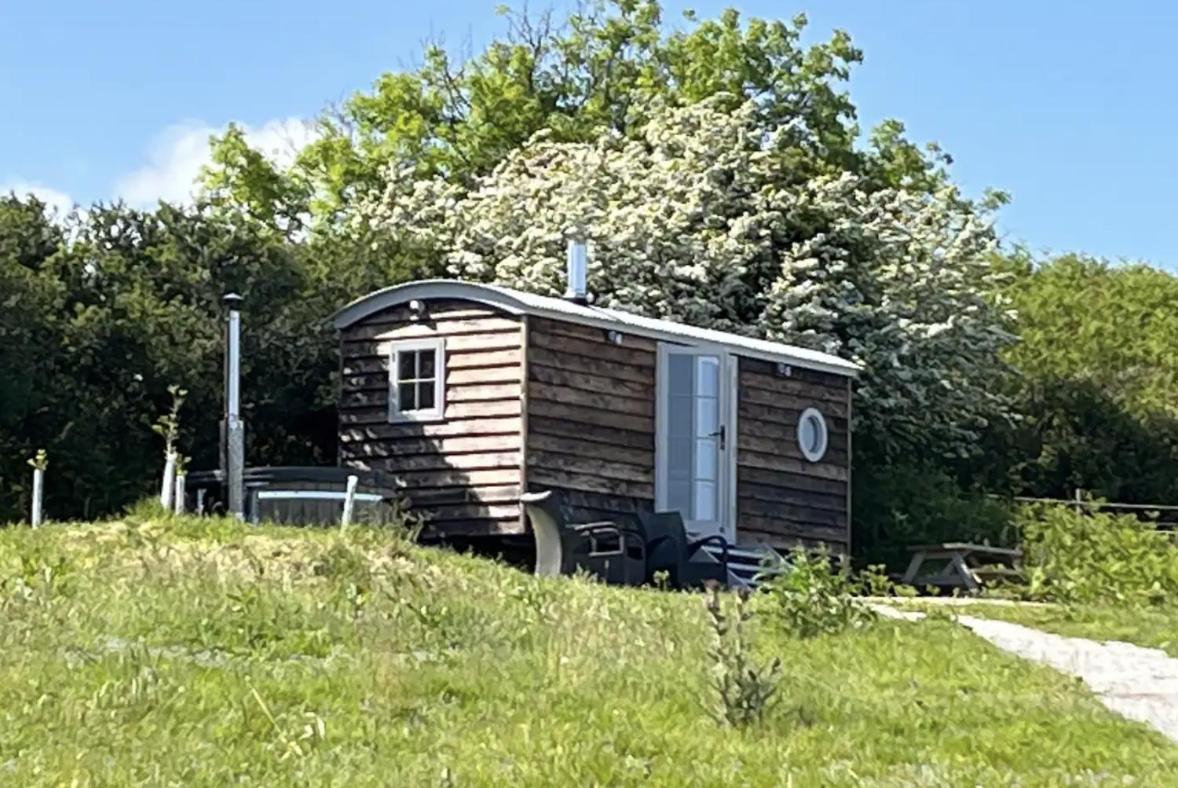 The Daffodil Hut